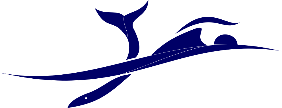 Boat tour operator logo